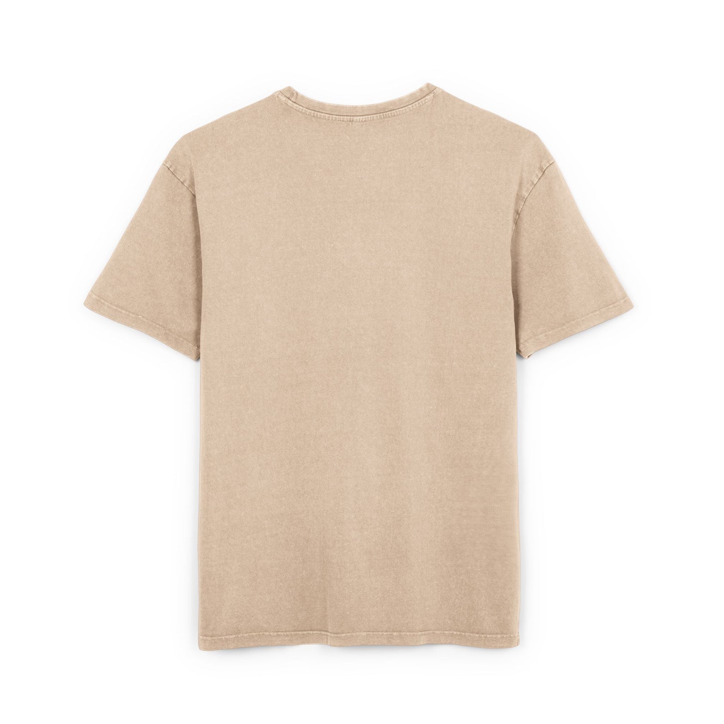 Monarch Washed Oversized Tee