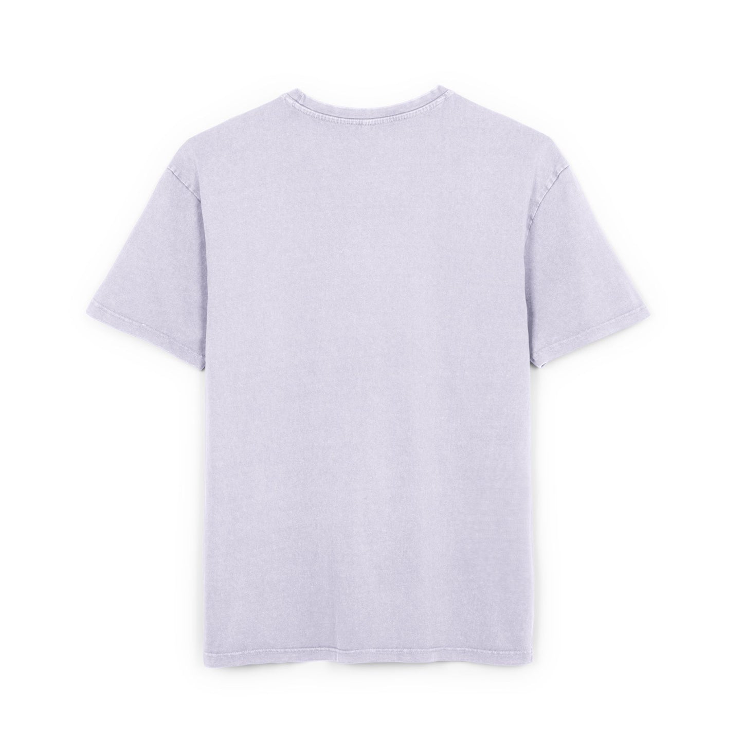Monarch Washed Oversized Tee