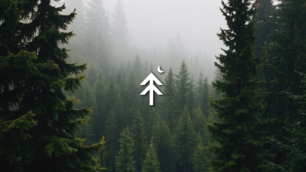 Pine Tree Collection