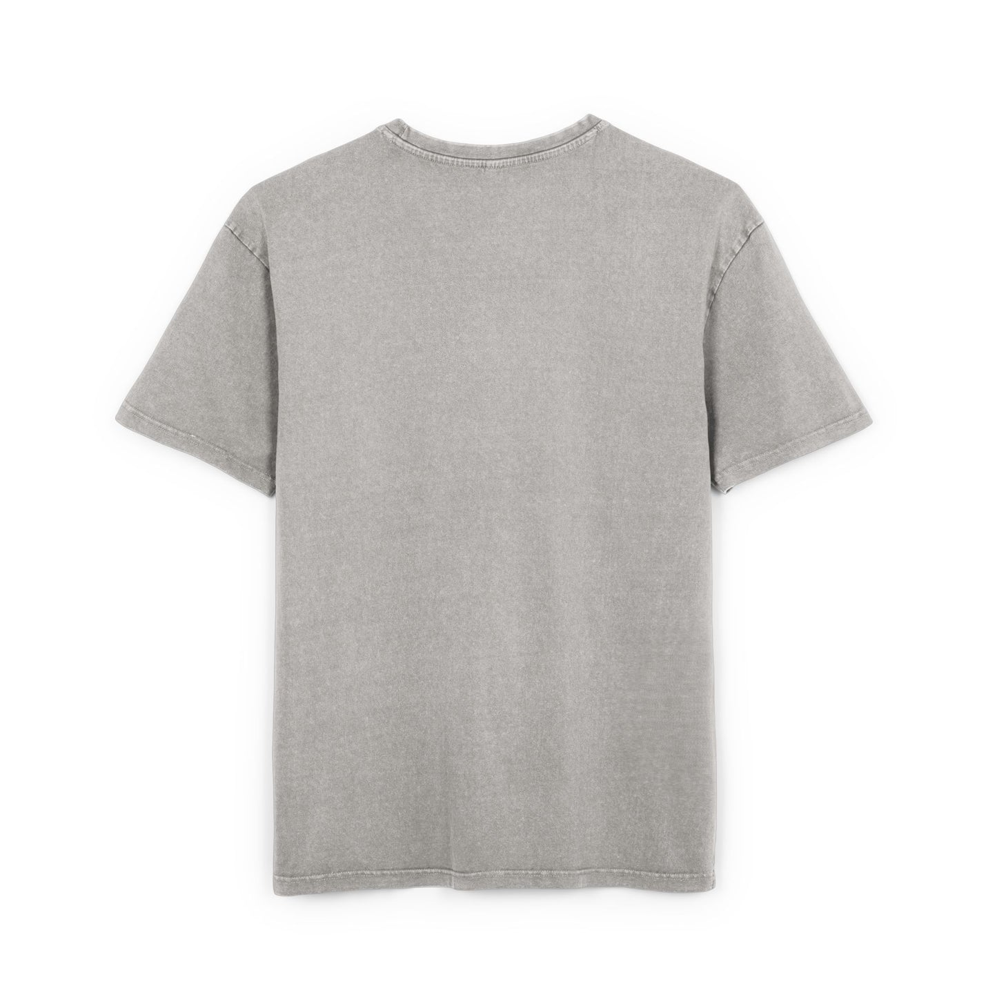 Monarch Washed Oversized Tee